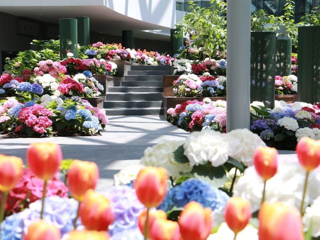 Miracle of Natural สวนดอกไม้เมืองหนาว 🌸🌹🌻💐