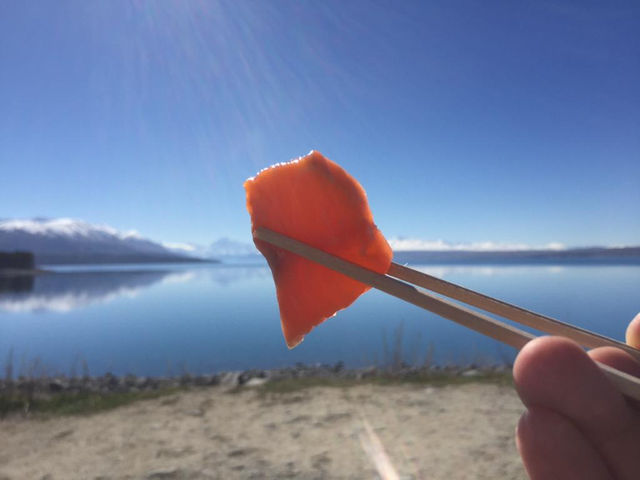 🇳🇿 Lake Pukaki, New Zealand