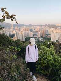 觀賞青馬大橋的行山之旅
