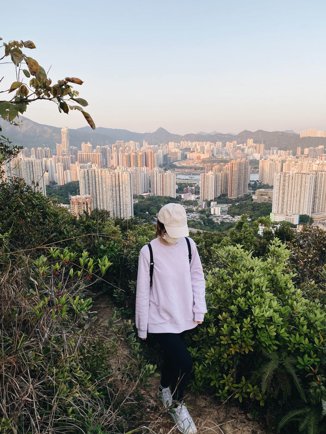 觀賞青馬大橋的行山之旅