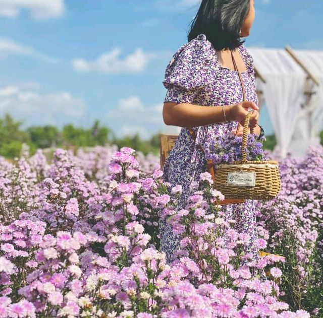 เจอ กู๊เนียร์ ฟอร์เร็ซท สวนดอกไม้ ที่ใหญ่ที่สุดในเชียงใหม่