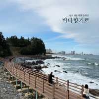 속초 나만 알고싶은 둘레길코스, 바다향기로