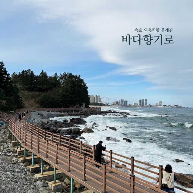속초 나만 알고싶은 둘레길코스, 바다향기로