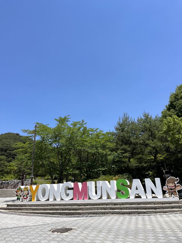 양평 아름다운 숲을 구경할 수 있는 용문사🌳