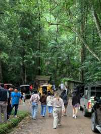 น้ำตกแม่กำปอง (Mae Kampong Waterfall)