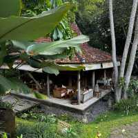 A very serene and quiet resort in Canggu
