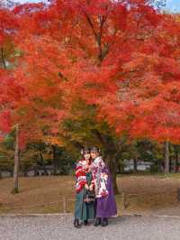 วัด Nanzen-ji เกียวโต ชมใบไม้เปลี่ยนสีแบบฉ่ำๆ🍁