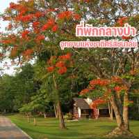 ที่พักกลางป่า ที่อุทยานแห่งชาติศรีสัชนาลัย