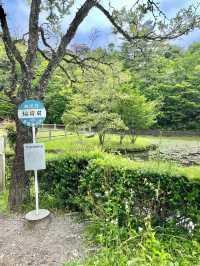 【愛知　名古屋】ジブリパークさっきとメイの家