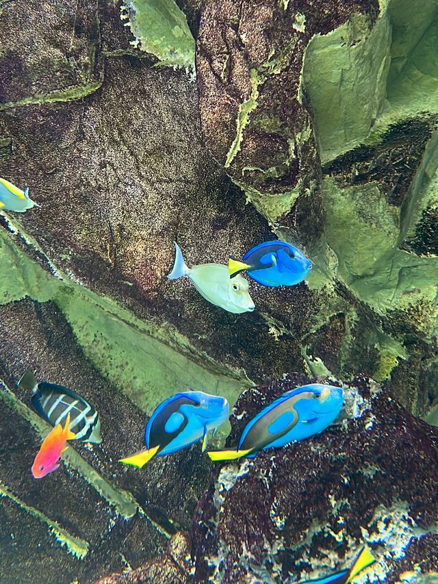 🐠다양한 생물들을 한 곳에서! 서천 국립생태원 🦜