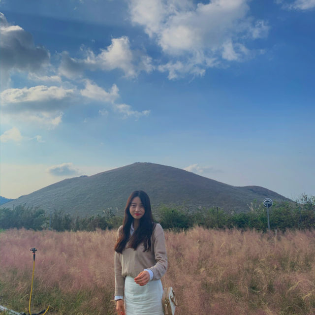 12월 제주 여행