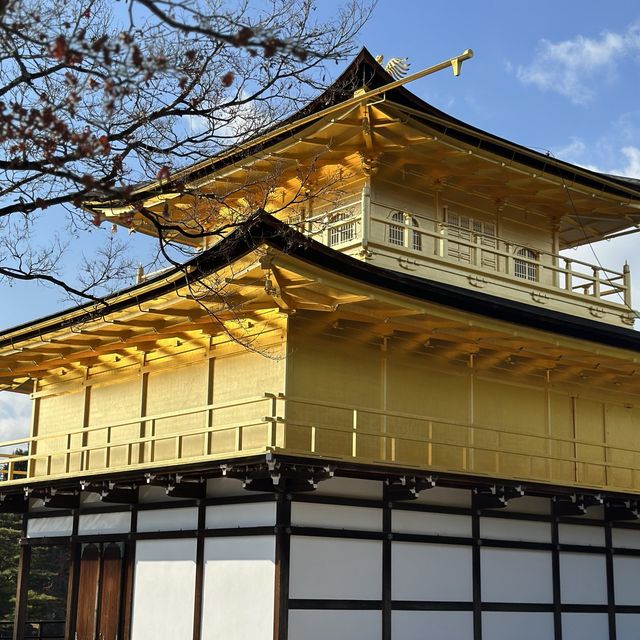 金閣寺：歴史と美の調和 🏯🍁