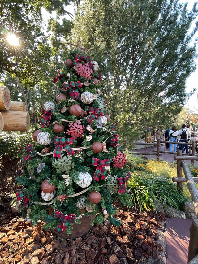 【2023年行ってよかった！】40周年イベント開催中のディズニーランドクリスマス2023