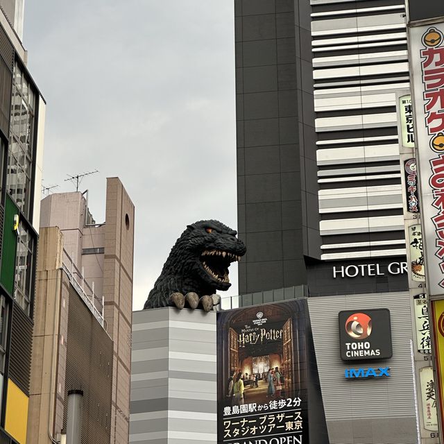 Kabukicho - Night in Tokyo 