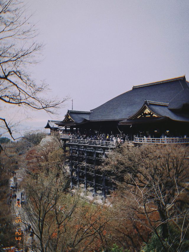🇯🇵日本京都景點 X 清水寺👣終於看到歷經三年的整修完畢的清水寺！