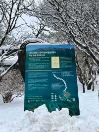 Experience White Winter @Jeju Island