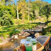 คาเฟ่หลงเขา บ่อเหลือ จ.น่าน