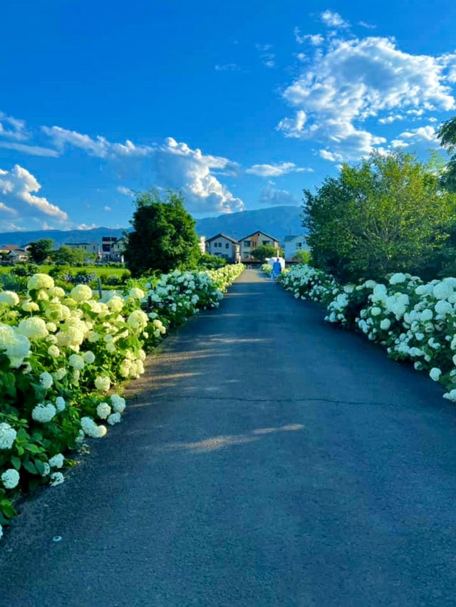 Kaisei Farm in Kanagawa