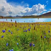 Deosai National Park