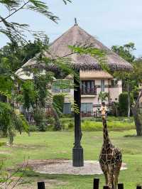 峇里親子遊❤️最大動物園😳Bali Safari and Marine Park🙈