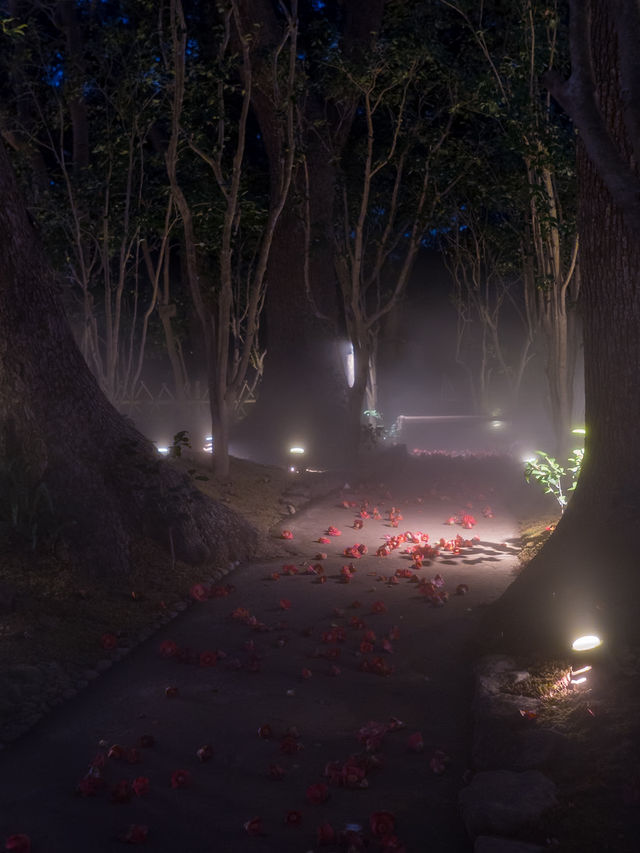 【春色に染められた雲海！☁️】椿山荘の桜雲海が幻想的すぎる🌸✨
