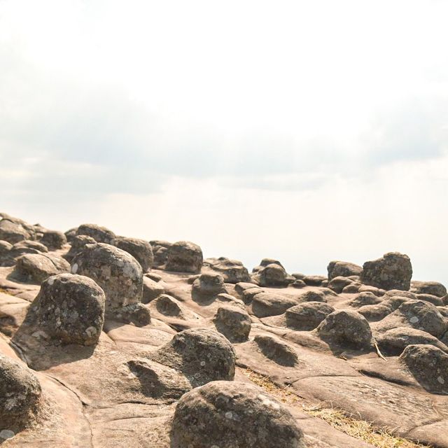 ลานหินปุ่ม (Lan Hin Pum) จังหวัดพิษณุโลก