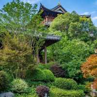 農禪寺！靜謐氣息世外桃源