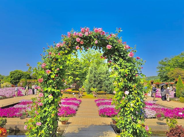 Ashikaga Flower Park 