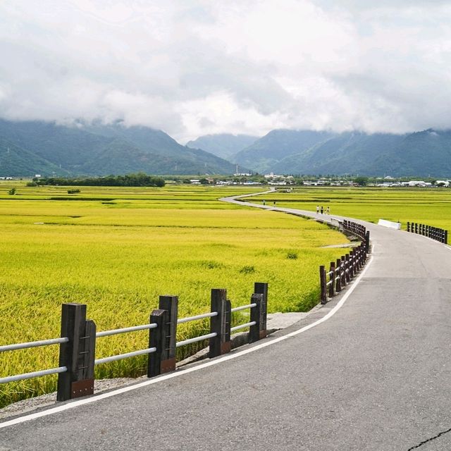 黃金般的池上