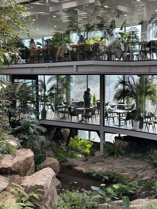 커다란 온실 정원에서 자연을 바라보며 🌴 실내 산책 데이트를 할 수 있는 양주 오랑주리 🌺