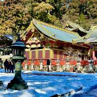 Exploring Nikko Toshogu shrine 🙏