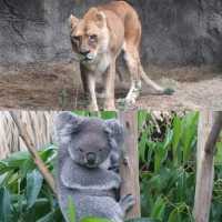 【臺北景點】臺北市立動物園：動物多樣、環境乾淨，適合教育、娛樂和探險