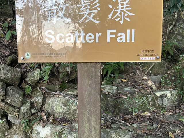 Amazing hiking experience in Hong Kong 