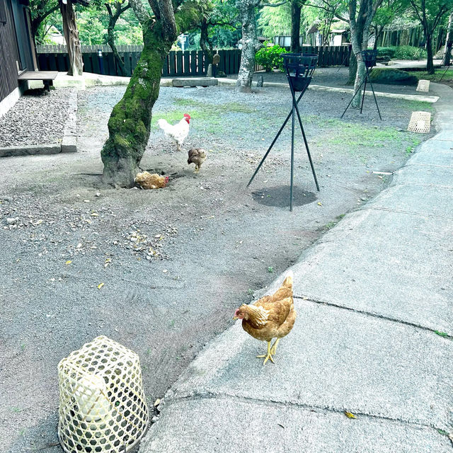 大自然でサイクリング【大分県由布市】