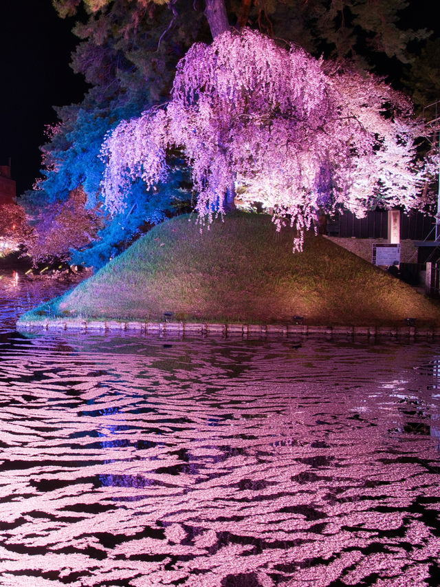 【青森・桜】その美しさ悶絶級🤩「やっば！えぐ！」しか出てこなくなる絶景🌸※アクセス攻略付き