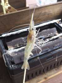 【福島(土湯温泉)】土湯温泉郷でエビ釣り体験