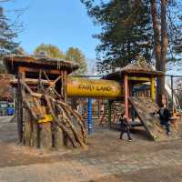 Trip To Nami Island