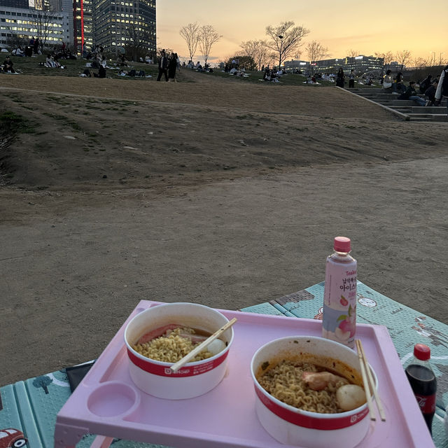 Picnic with Cherry Blossoms & Han River 🧺
