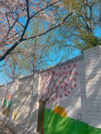 아기자기한 벽화 보는 재미가 있는 벚꽃길 봄 데이트🌸 동수북로 벽화거리