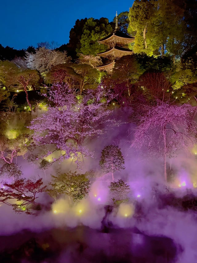 【東京】絶対に行ってほしい✨幻想的な世界
