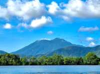 Daintree National Park