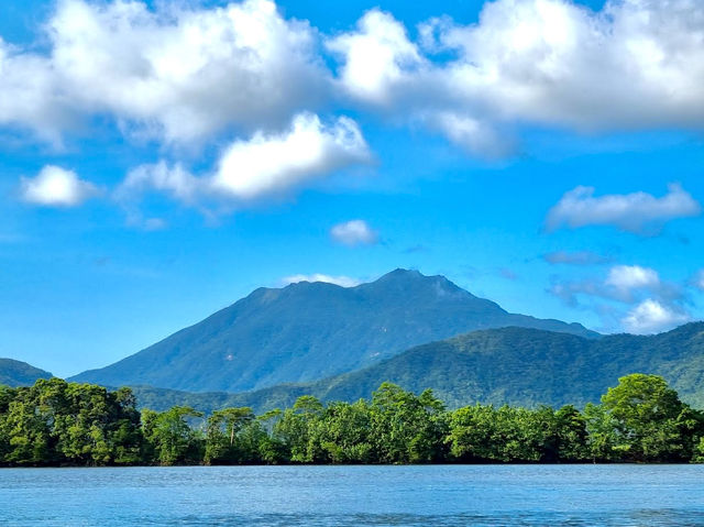 Daintree National Park