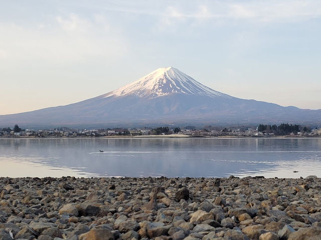 🌸「富士山畔，尋找心靈寧靜的避風港」🌸