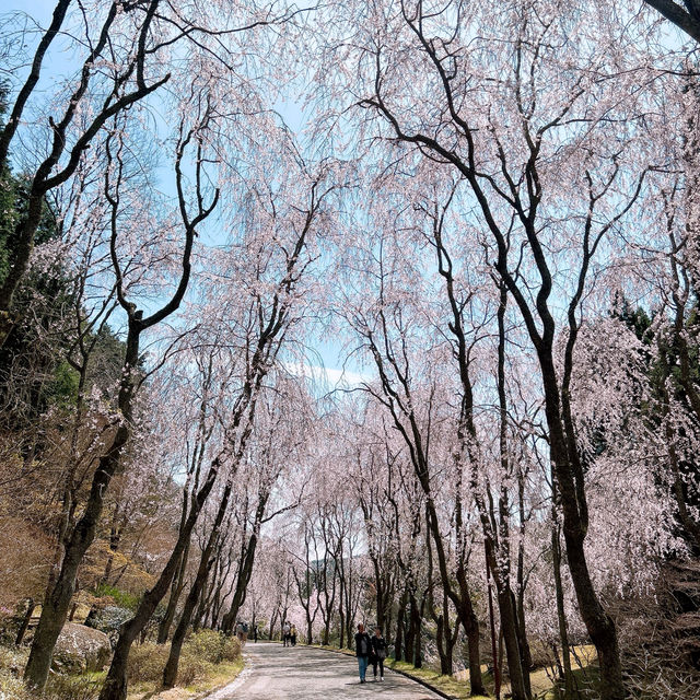 広島県　世羅　甲山ふれあいの里