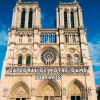 Iconic Majesty: Notre Dame de Paris 🇫🇷