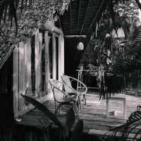 The Tropical Koh MOOK