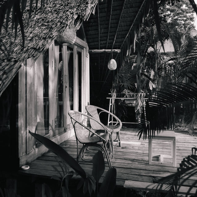The Tropical Koh MOOK