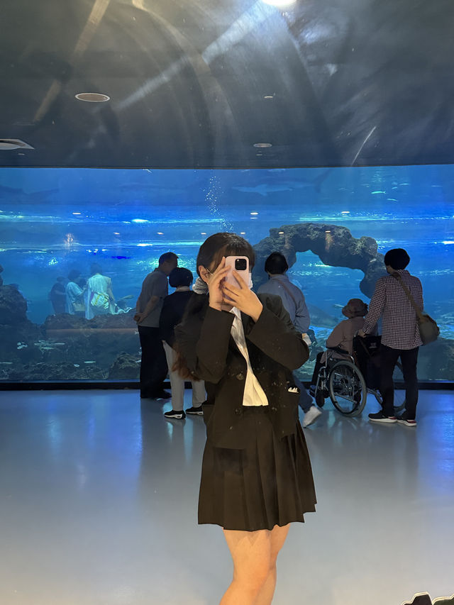 제주 2박3일 여행 코스