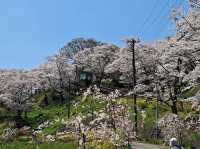 Famous Funaoka Castle