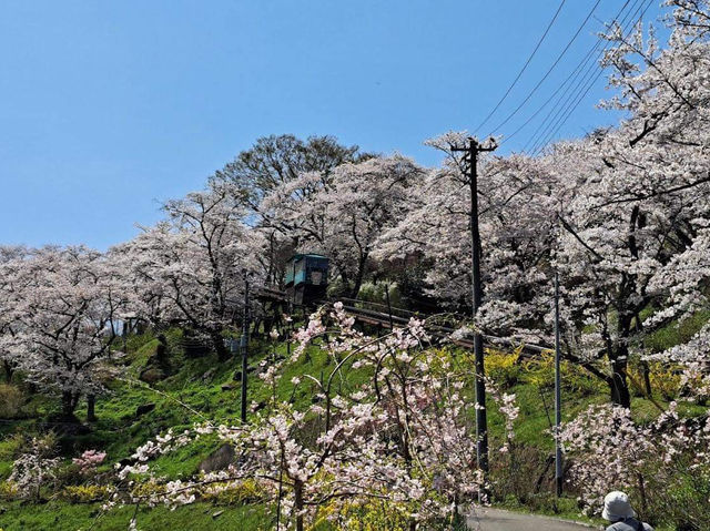 Famous Funaoka Castle